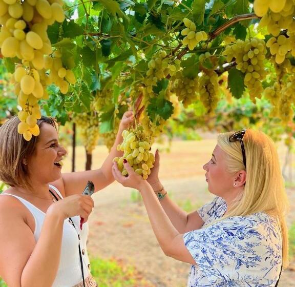 Курорт Celebi Garden Hotel Cittaslow Retreat