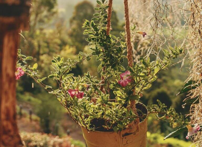 منتجع Guaia Terra Glamping