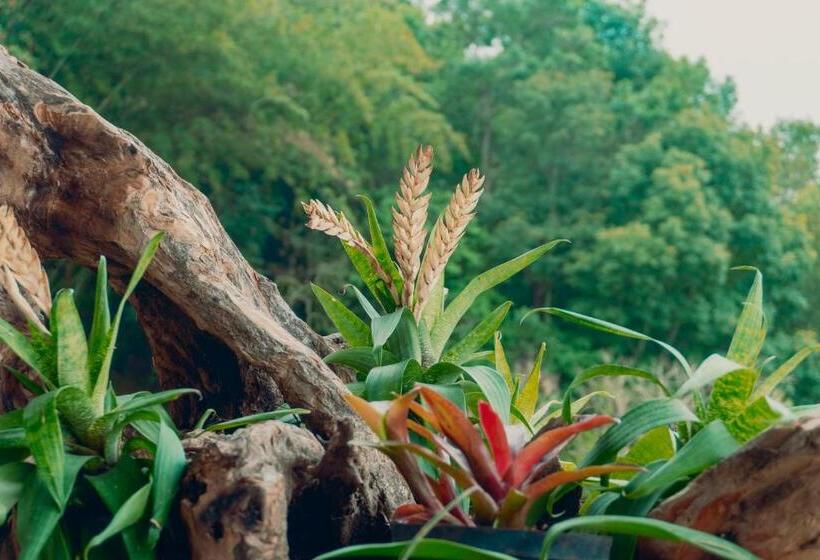 منتجع Guaia Terra Glamping