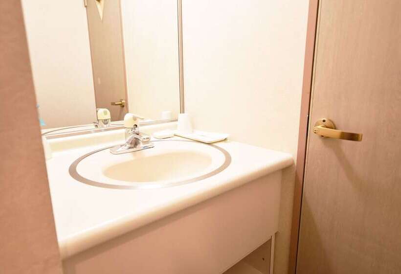 ריוקאן Nayoro Onsen Sunpillar