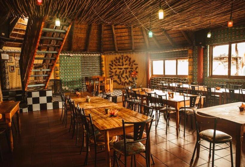 فندق صغير Amphitheatre Backpackers Lodge