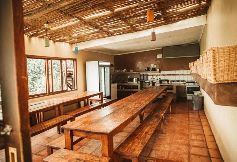فندق صغير Amphitheatre Backpackers Lodge