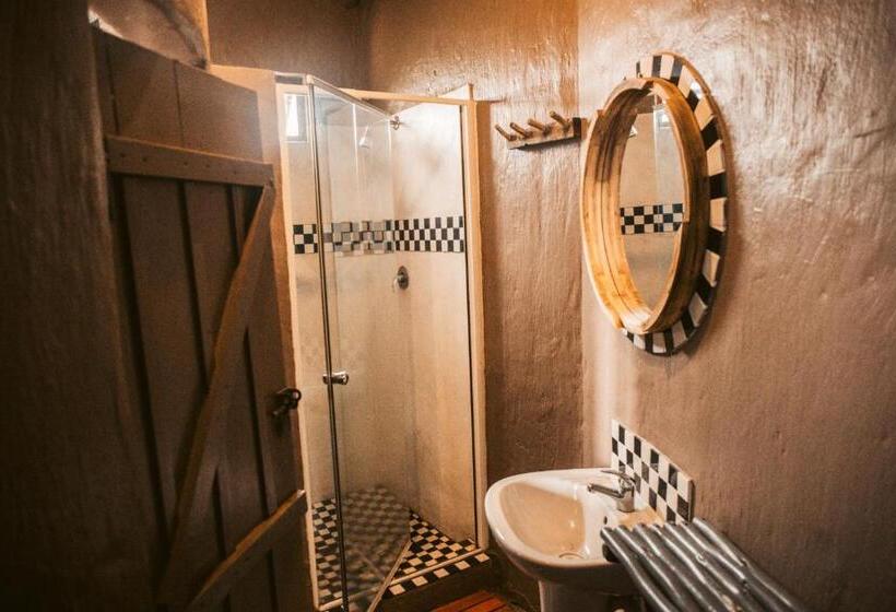 فندق صغير Amphitheatre Backpackers Lodge