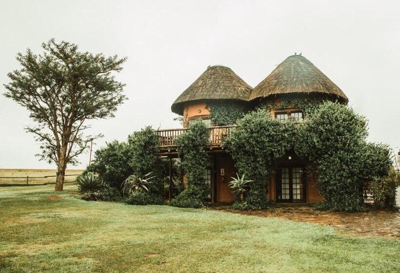 فندق صغير Amphitheatre Backpackers Lodge