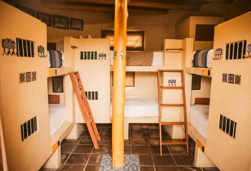 فندق صغير Amphitheatre Backpackers Lodge