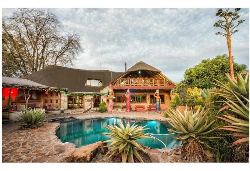 فندق صغير Amphitheatre Backpackers Lodge