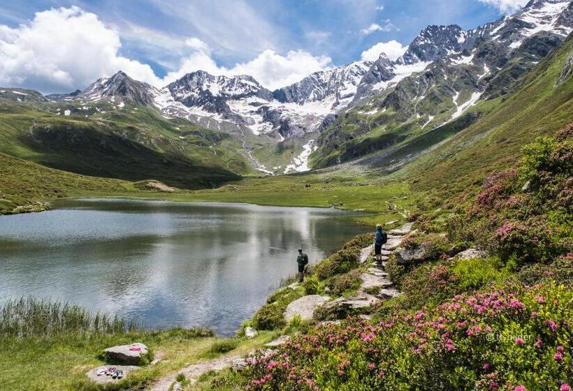 旅馆 Gasthof Trausberg