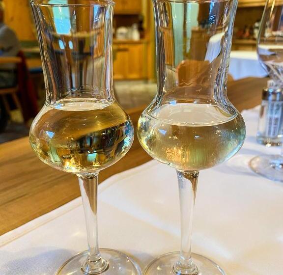 旅馆 Gasthof Trausberg