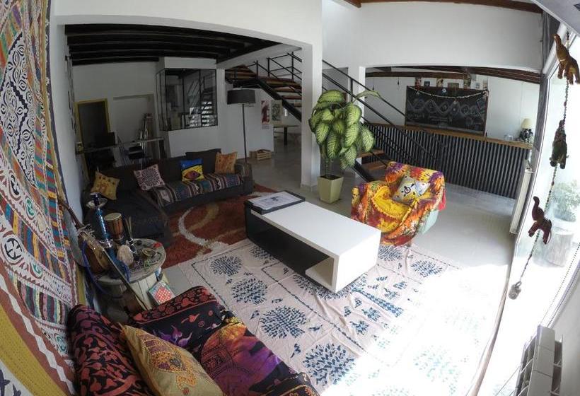 فندق صغير Roots Backpackers