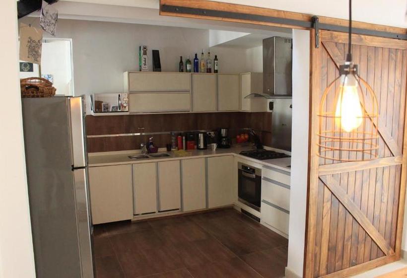 فندق صغير Roots Backpackers