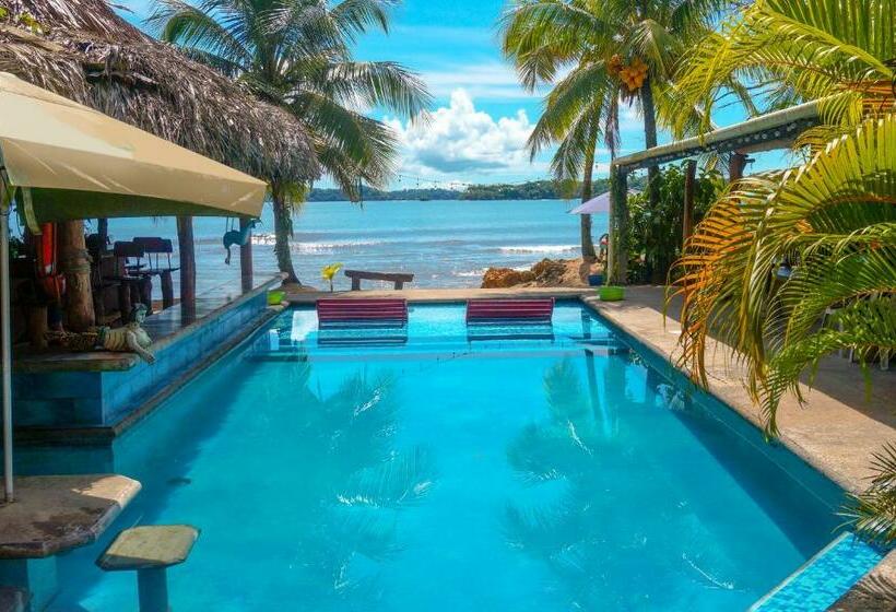 호스텔 Skully's House