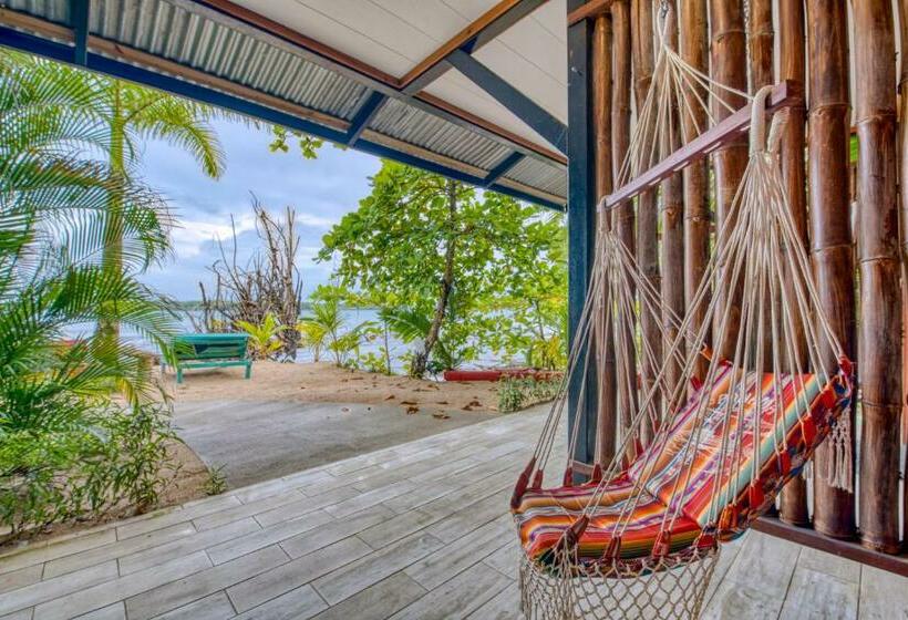 호스텔 Skully's House