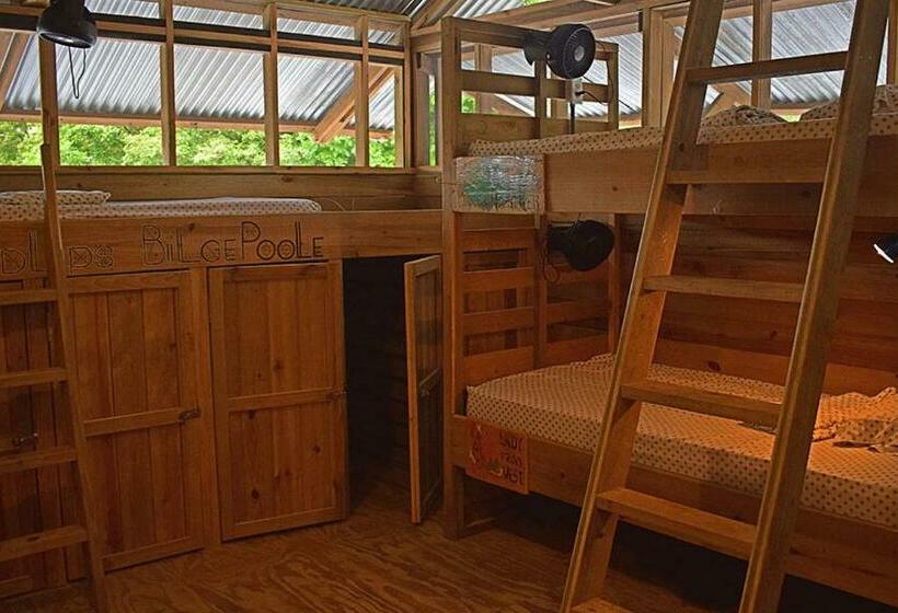 호스텔 Skully's House