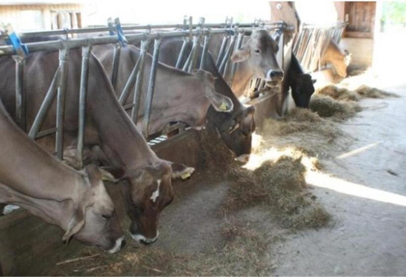 Bed And Breakfast Huobschür