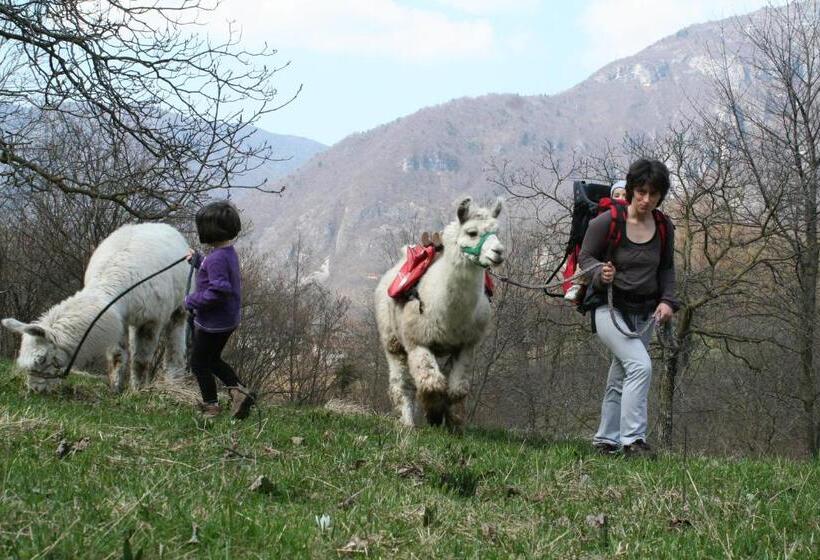مبيت وإفطار Il Capriolo Felice   Agriturismo