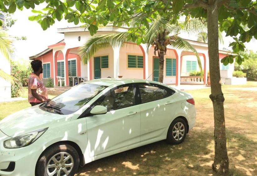 مبيت وإفطار Twitter Paradise