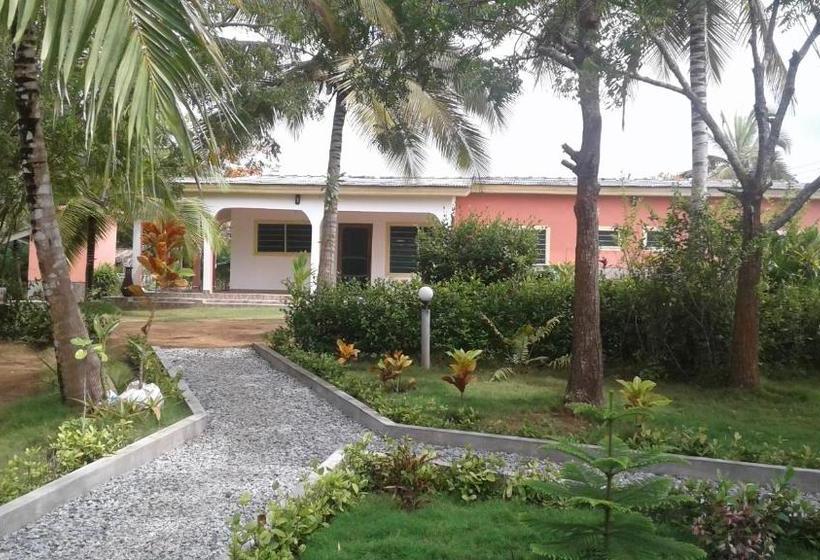 민박 Twitter Paradise