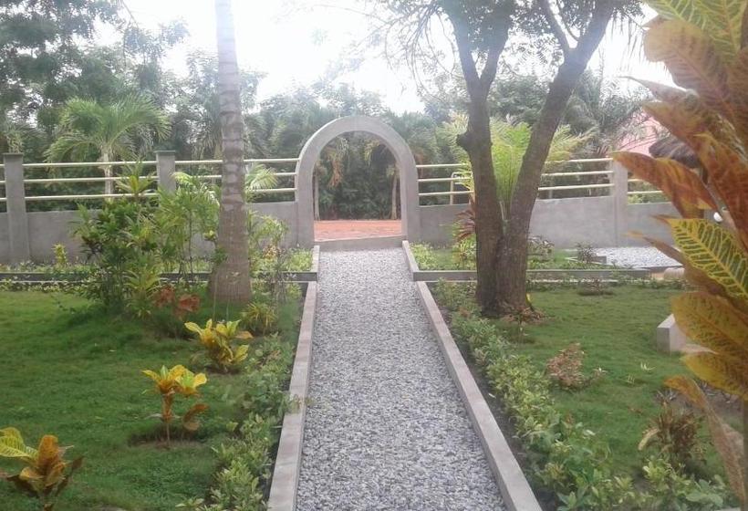 مبيت وإفطار Twitter Paradise