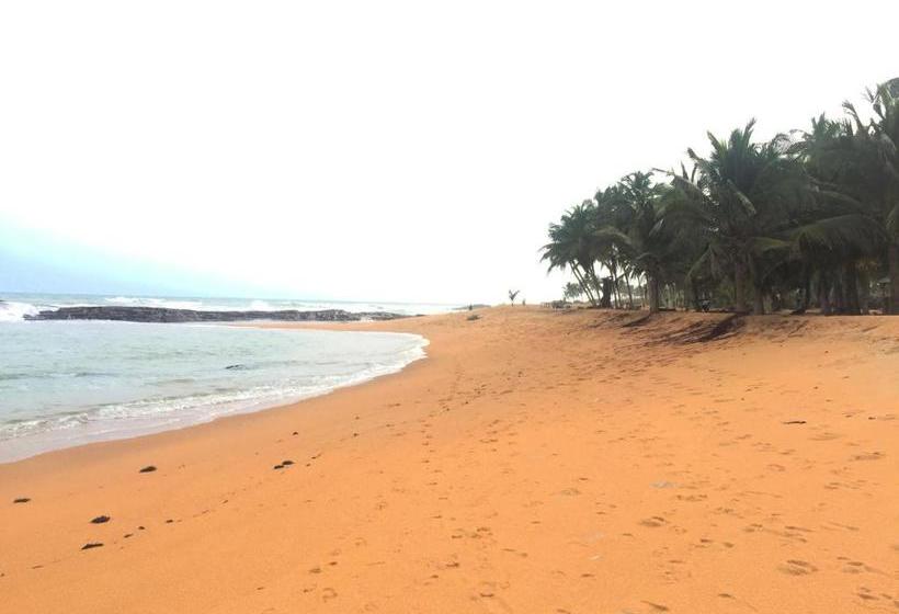 민박 Twitter Paradise