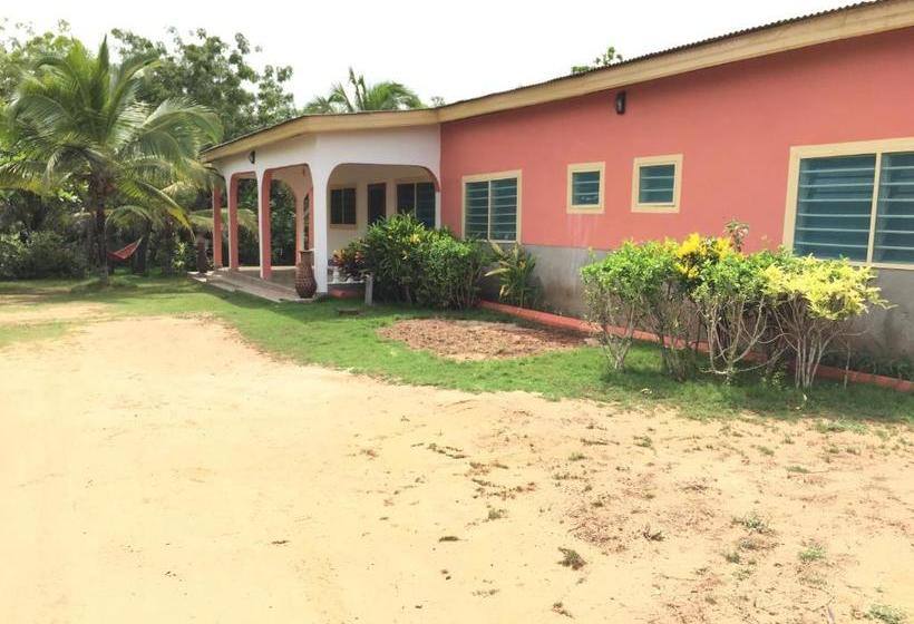 민박 Twitter Paradise