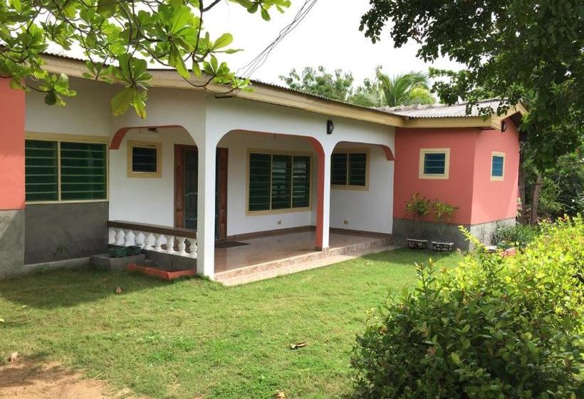 مبيت وإفطار Twitter Paradise