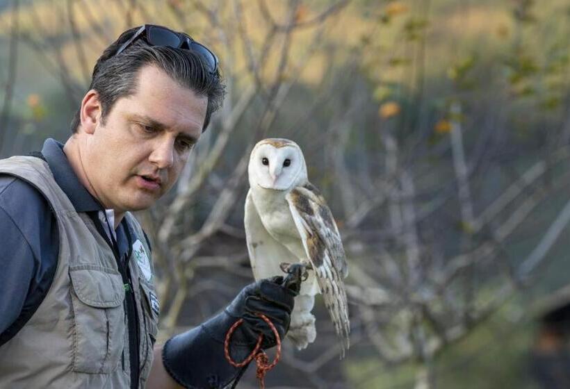 Estribo Hotel Estancia