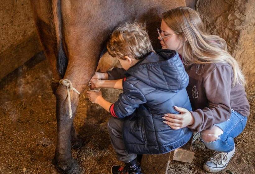 Estribo Hotel Estancia