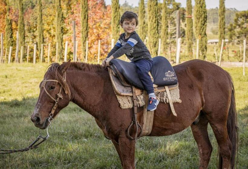 Estribo Hotel Estancia