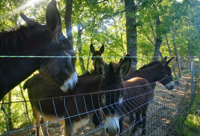 호텔 Agriturismo Olimpo