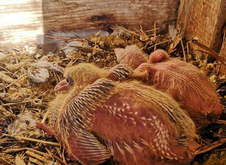 호텔 Agriturismo Olimpo