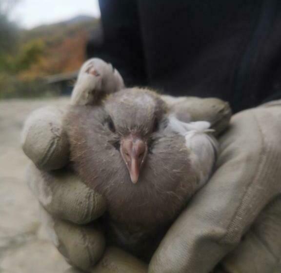 호텔 Agriturismo Olimpo