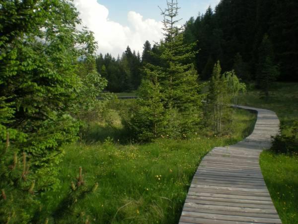 ホテル Albergo Al Forte