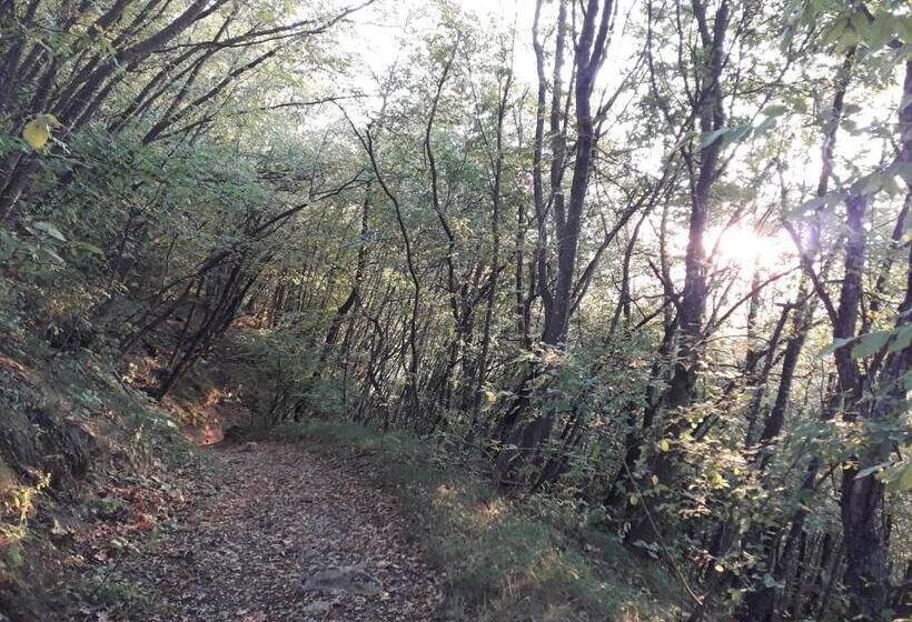 בית מלון כפרי La Tana Del Picchio