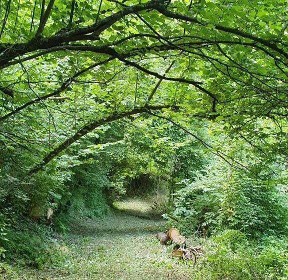 בית מלון כפרי La Tana Del Picchio