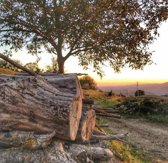 בית מלון כפרי La Tana Del Picchio