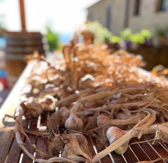 בית מלון כפרי La Tana Del Picchio