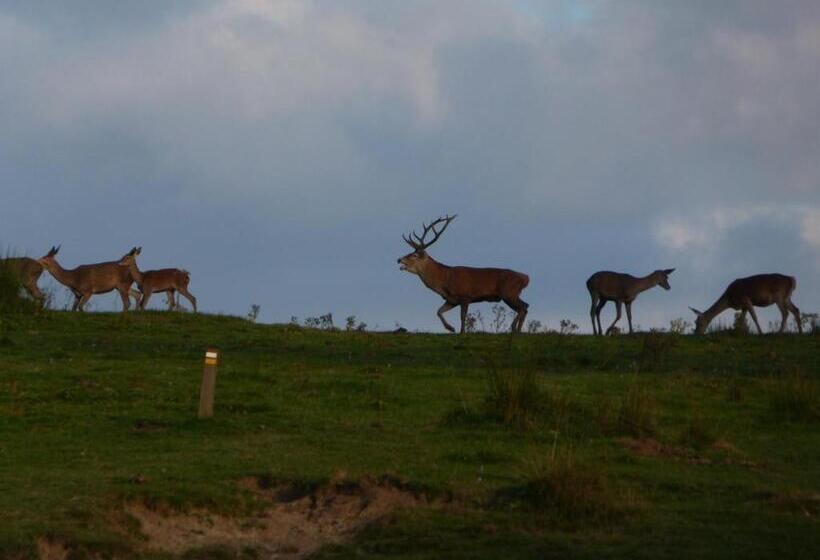 فندق Rural El Fundil