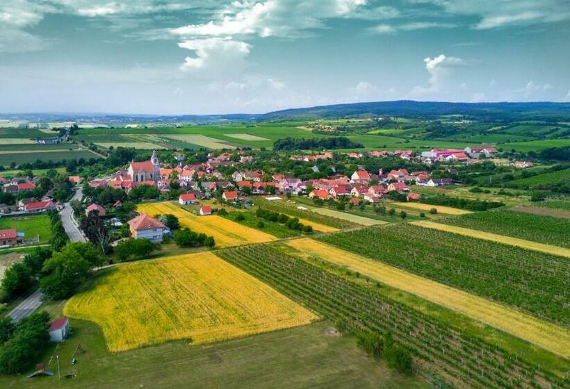 Отель Vinice Hnanice