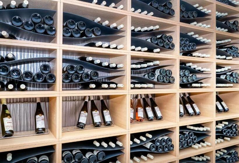 Отель Vinice Hnanice