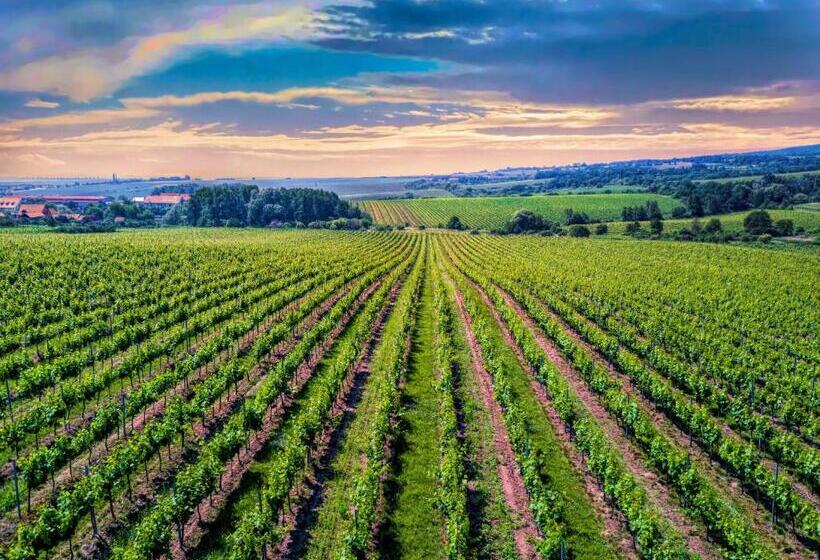 Отель Vinice Hnanice