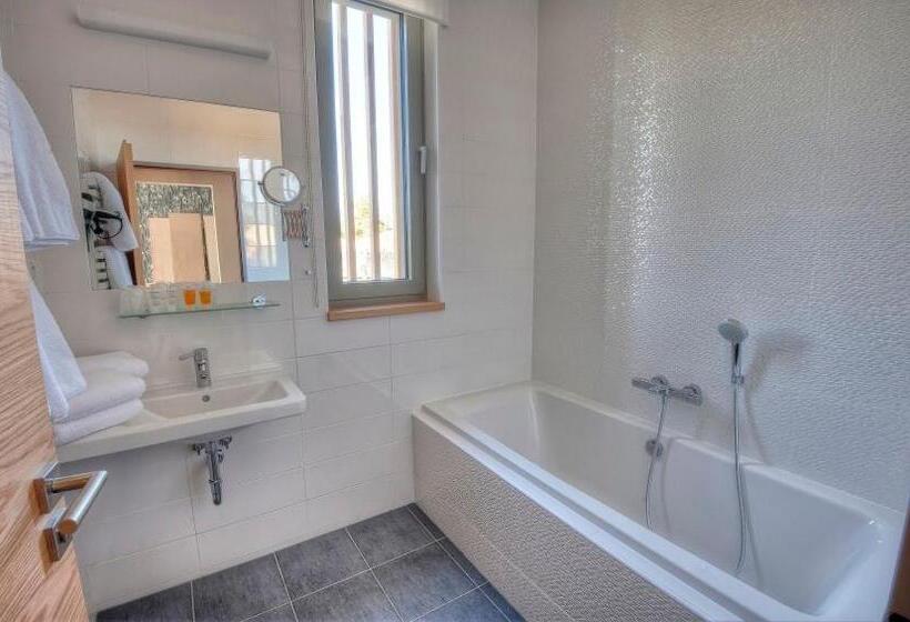 Отель Vinice Hnanice