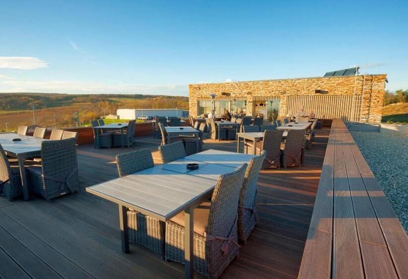 Отель Vinice Hnanice