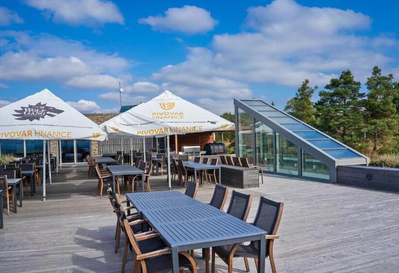 Отель Vinice Hnanice