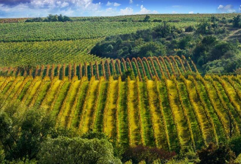 Отель Vinice Hnanice