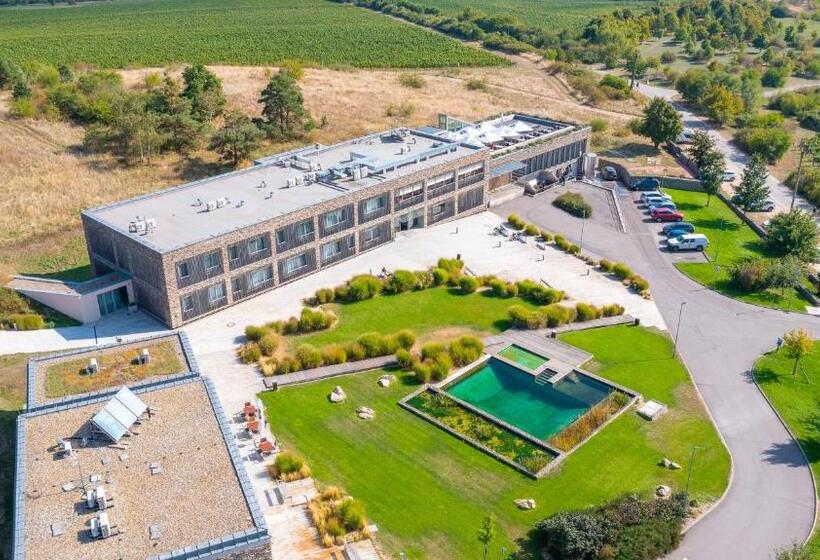 Отель Vinice Hnanice