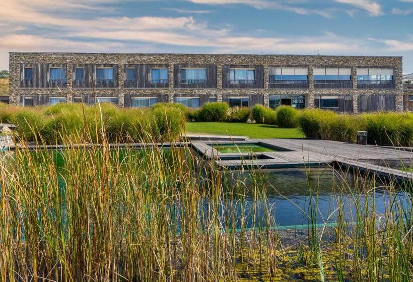 Отель Vinice Hnanice