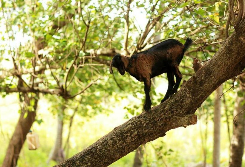 ホテル Vinis Farm A Private Island Stay Privacy Redefined !!!