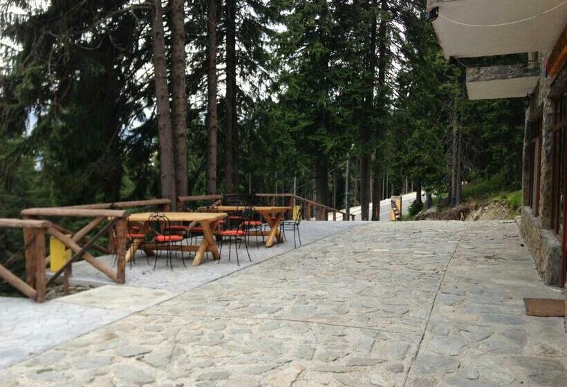 Пансион Cabana Haiducilor