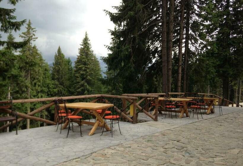 Пансион Cabana Haiducilor