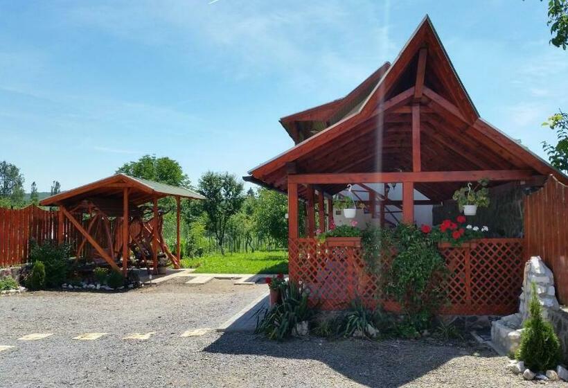 פנסיון Casa Agnes Vendeghaz